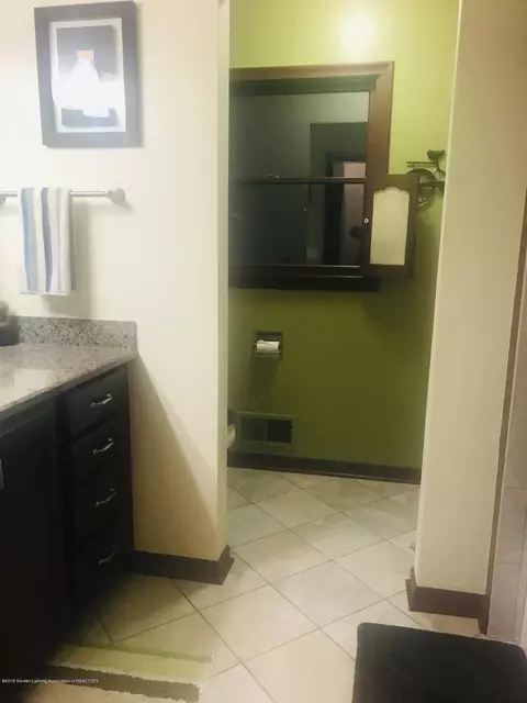 805 E Dill Dr, Dewitt, MI 48820 photo 39