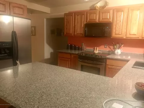 805 E Dill Dr, Dewitt, MI 48820 photo 71