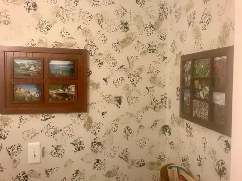 805 E Dill Dr, Dewitt, MI 48820 photo 85