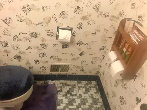 805 E Dill Dr, Dewitt, MI 48820 photo 84