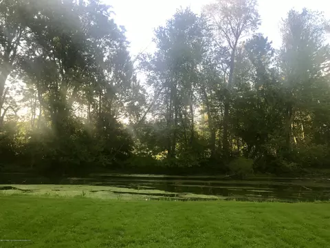 805 E Dill Dr, Dewitt, MI 48820 photo 121