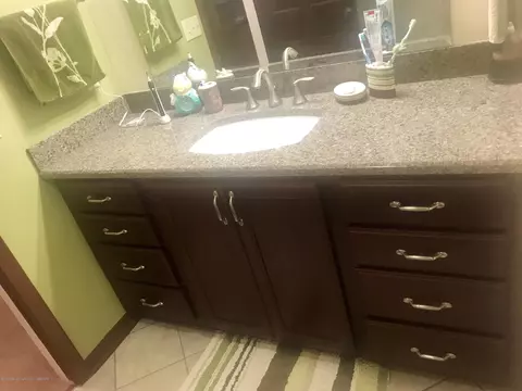 805 E Dill Dr, Dewitt, MI 48820 photo 37