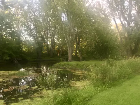 805 E Dill Dr, Dewitt, MI 48820 photo 15