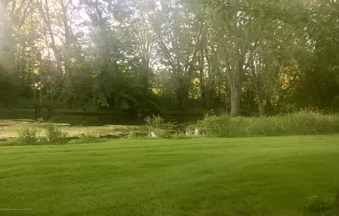 805 E Dill Dr, Dewitt, MI 48820 photo 13