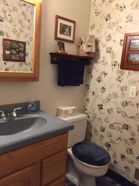 805 E Dill Dr, Dewitt, MI 48820 photo 81