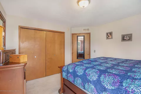 12741 Houghton Dr, Dewitt, MI 48820 photo 13