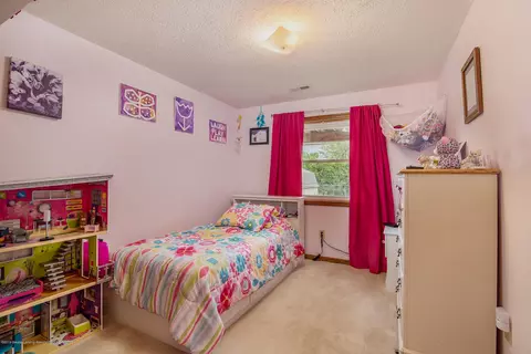 12741 Houghton Dr, Dewitt, MI 48820 photo 19