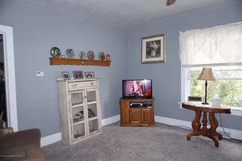 110 S Scott St, Dewitt, MI 48820 photo 7