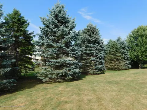 627 N Bailey Cir, Mason, MI 48854 photo 33