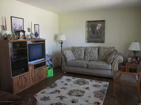 3435 Parkwood Dr, Dewitt, MI 48820 photo 11
