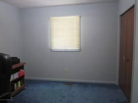 3435 Parkwood Dr, Dewitt, MI 48820 photo 24