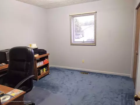 3435 Parkwood Dr, Dewitt, MI 48820 photo 23