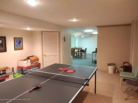 3435 Parkwood Dr, Dewitt, MI 48820 photo 27