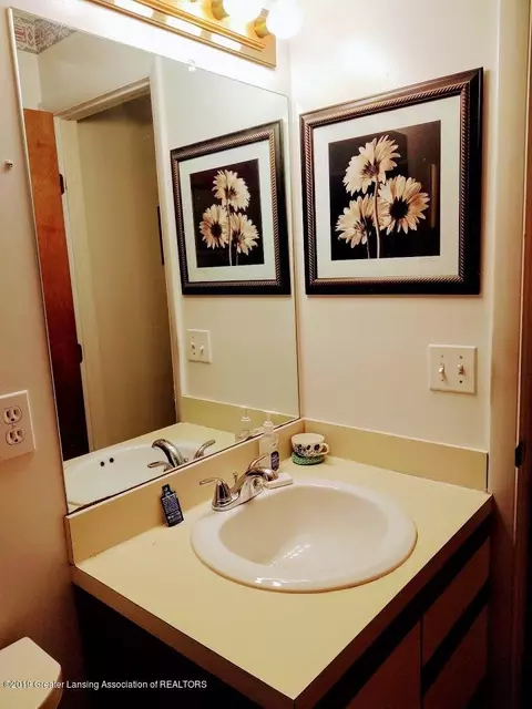 3435 Parkwood Dr, Dewitt, MI 48820 photo 21