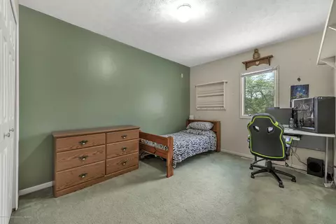 331 Walnut St, Dimondale, MI 48821 photo 21