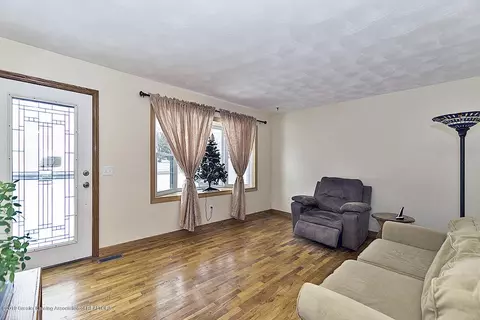 1003 Pine St, Dewitt, MI 48820 photo 2