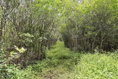 2247 N Eifert Rd, Holt, MI 48842 photo 35