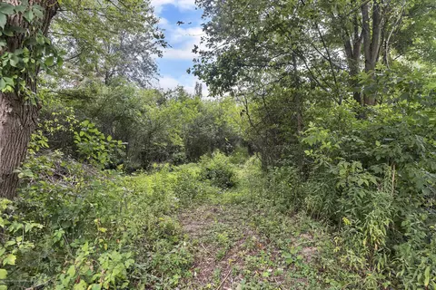 2247 N Eifert Rd, Holt, MI 48842 photo 36