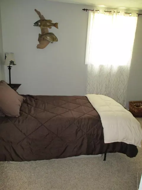 9005 S Williams Rd, Dewitt, MI 48820 photo 26