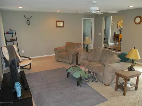 9005 S Williams Rd, Dewitt, MI 48820 photo 23