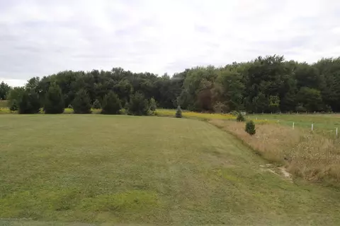 9900 Bond Rd, Dewitt, MI 48820 photo 21