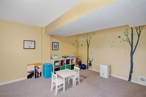 11573 Sara Ann Dr, Dewitt, MI 48820 photo 36