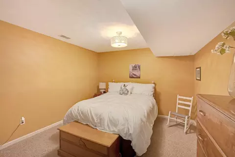 11573 Sara Ann Dr, Dewitt, MI 48820 photo 38