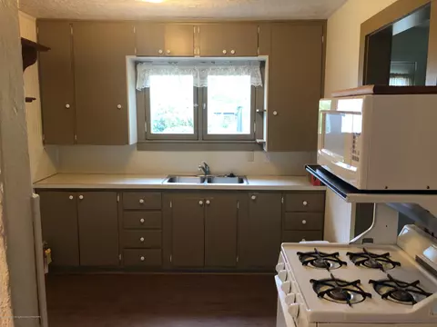 231 Lloyd St, Williamston, MI 48895 photo 9