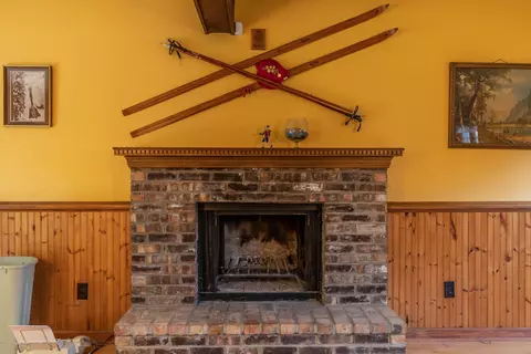 4601 Jadestone Dr, Williamston, MI 48895 photo 8