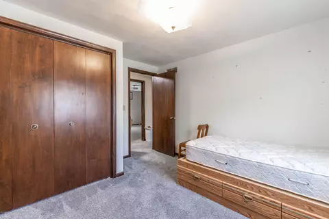 4601 Jadestone Dr, Williamston, MI 48895 photo 18