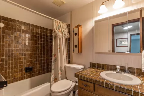 4601 Jadestone Dr, Williamston, MI 48895 photo 22