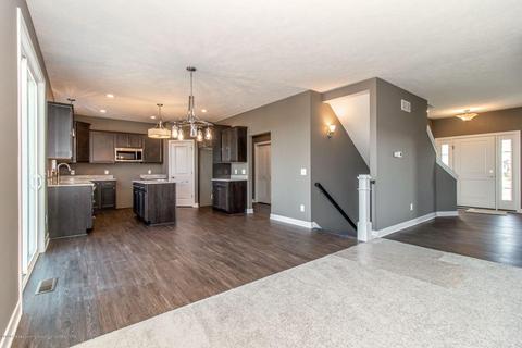 11890 Kalamata, Dewitt, MI 48820 photo 2