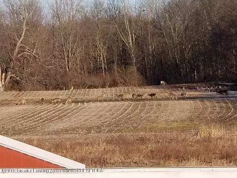 9499 Marshall Rd, Olivet, MI 49076 photo 19