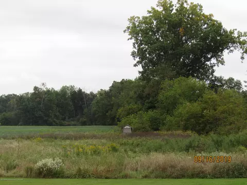 9499 Marshall Rd, Olivet, MI 49076 photo 26