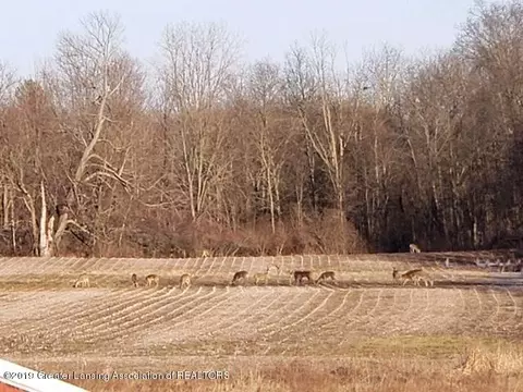 9499 Marshall Rd, Olivet, MI 49076 photo 20