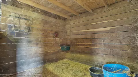 7227 E Lansing Rd, Durand, MI 48429 photo 62