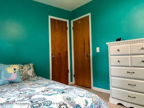 11335 E River Dr, Dewitt, MI 48820 photo 14