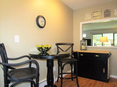 496 Red Cedar Blvd, Williamston, MI 48895 photo 12