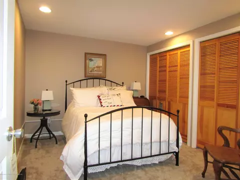 496 Red Cedar Blvd, Williamston, MI 48895 photo 20