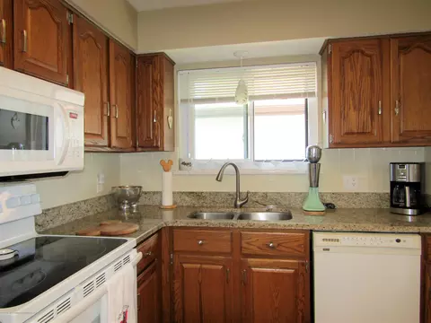 496 Red Cedar Blvd, Williamston, MI 48895 photo 15