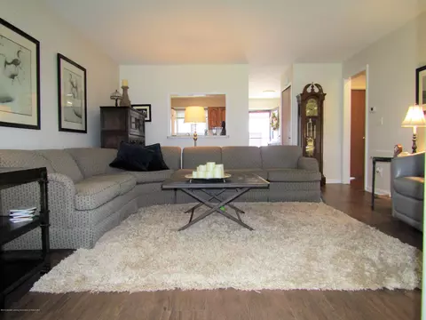 496 Red Cedar Blvd, Williamston, MI 48895 photo 7