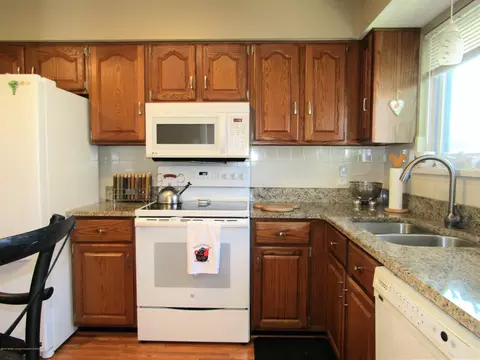 496 Red Cedar Blvd, Williamston, MI 48895 photo 14