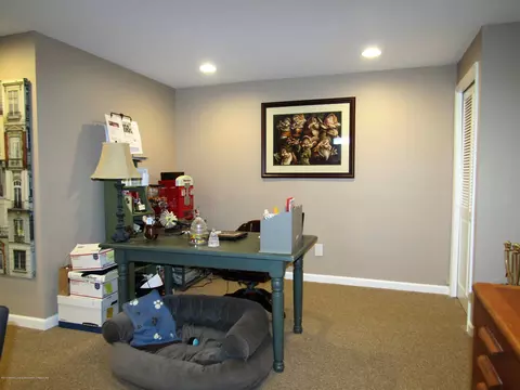 496 Red Cedar Blvd, Williamston, MI 48895 photo 25