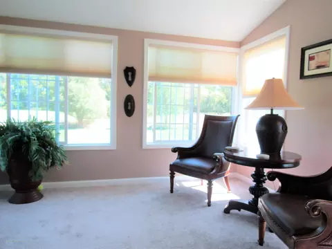 496 Red Cedar Blvd, Williamston, MI 48895 photo 9