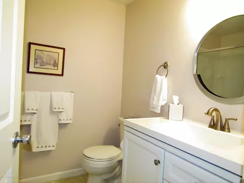 496 Red Cedar Blvd, Williamston, MI 48895 photo 21