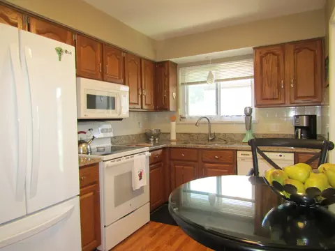 496 Red Cedar Blvd, Williamston, MI 48895 photo 16