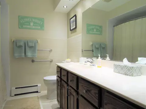 496 Red Cedar Blvd, Williamston, MI 48895 photo 19