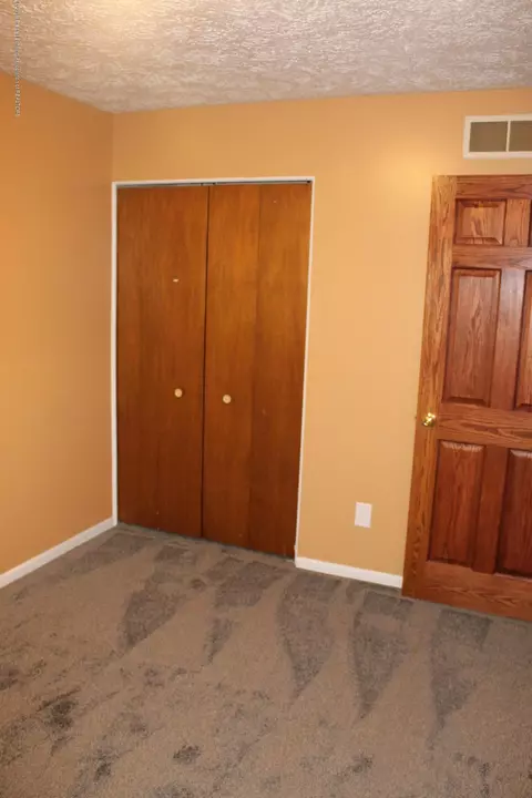 1121 Eugenia Dr, Mason, MI 48854 photo 24