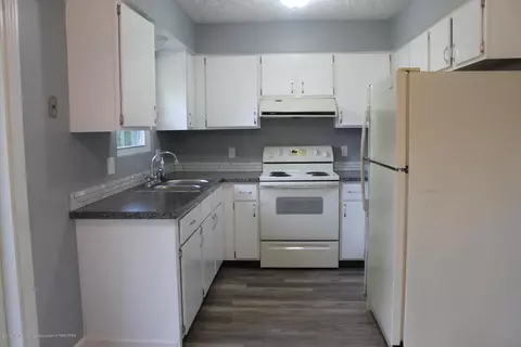 1121 Eugenia Dr, Mason, MI 48854 photo 21
