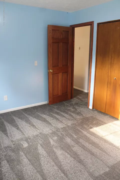 1121 Eugenia Dr, Mason, MI 48854 photo 26